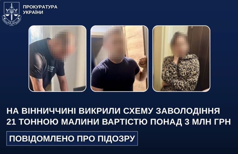 21 тонну малини шахраї викрали у жмеринчанина