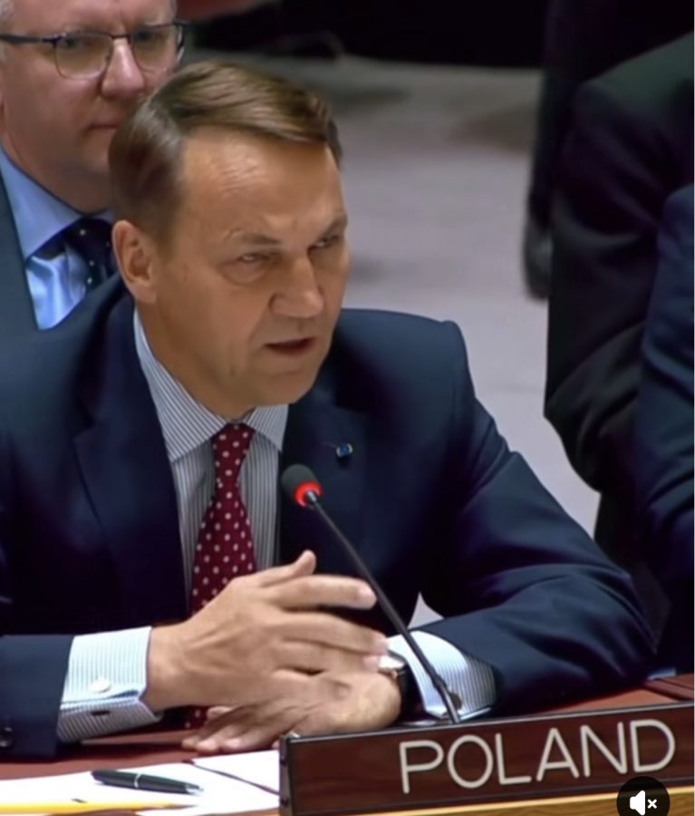 Сікорський у Радбезі ООН: «Сергію, я знаю, що ти слухаєш.