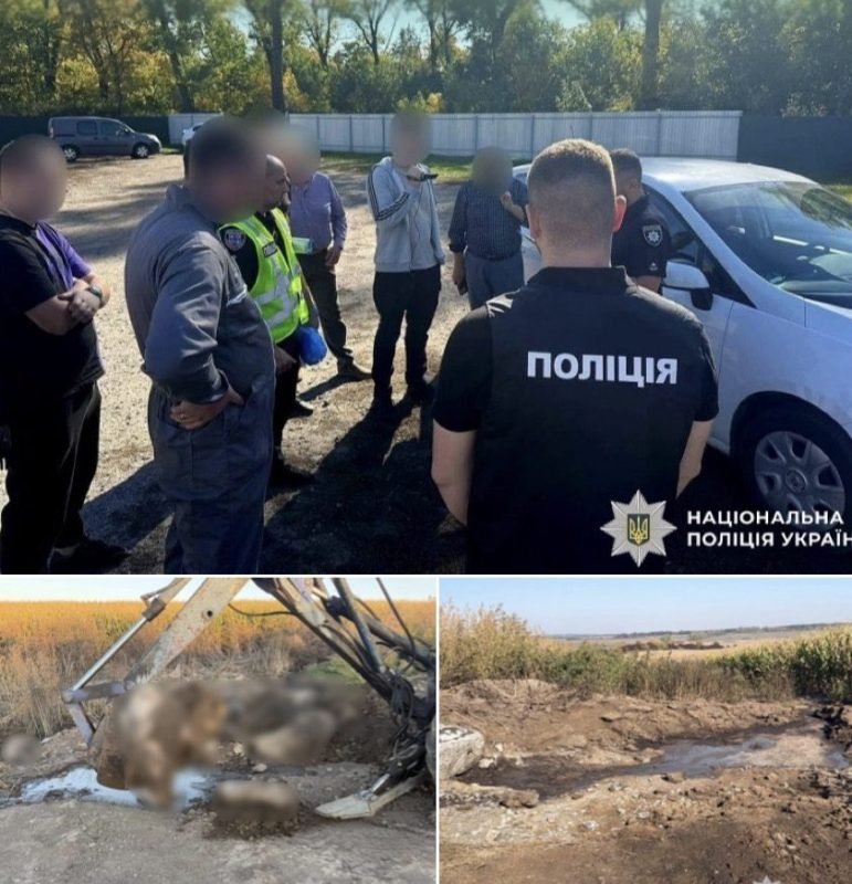 Зупинили підпільні скотомогильники