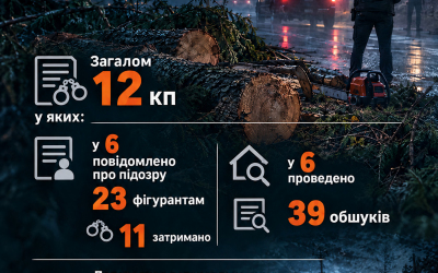 “Зелений щит” проти корупції у лісовій галузі