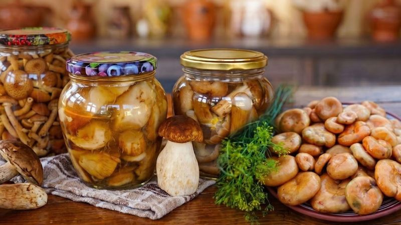 Які гриби не підходять для консервації